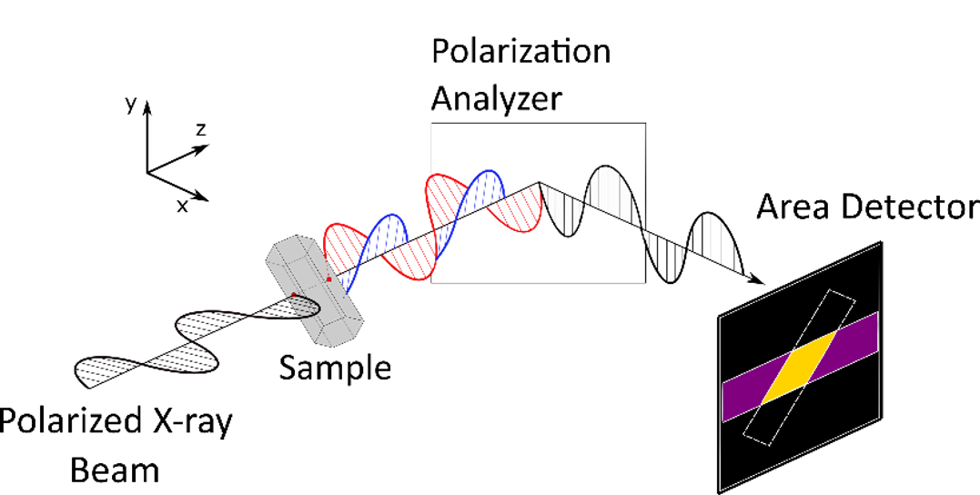 Linear polarization