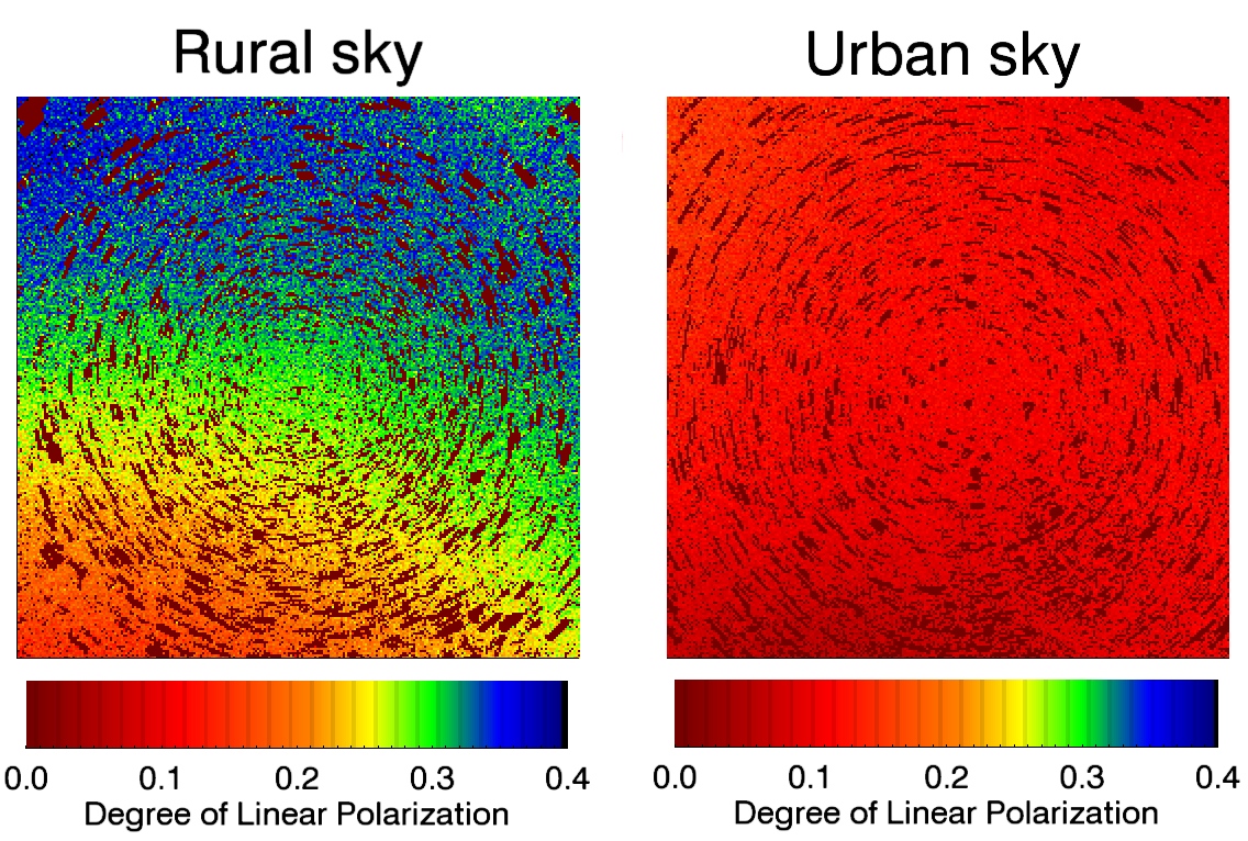 Linear polarization