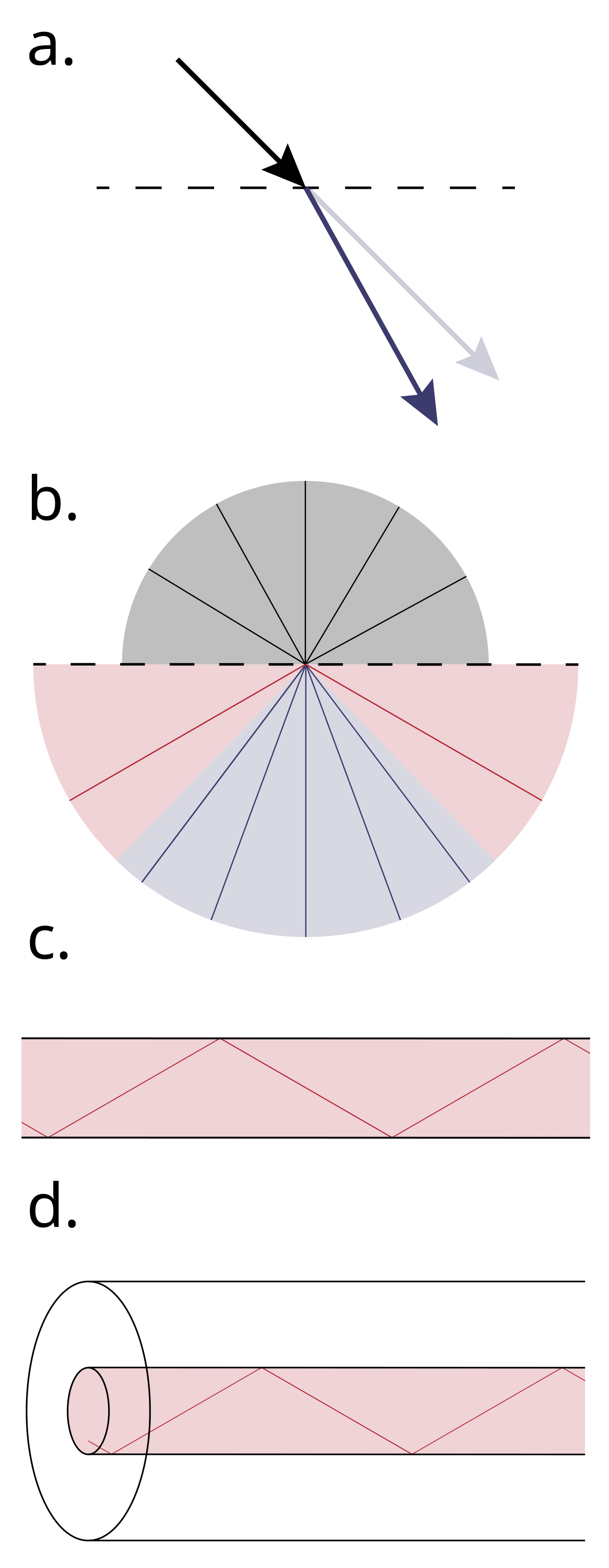 Ray (optics)